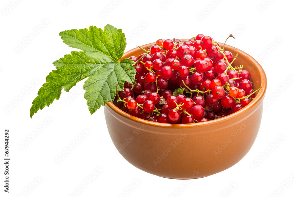 Red currant Red currant