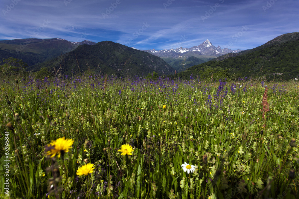 Fototapeta premium Monviso