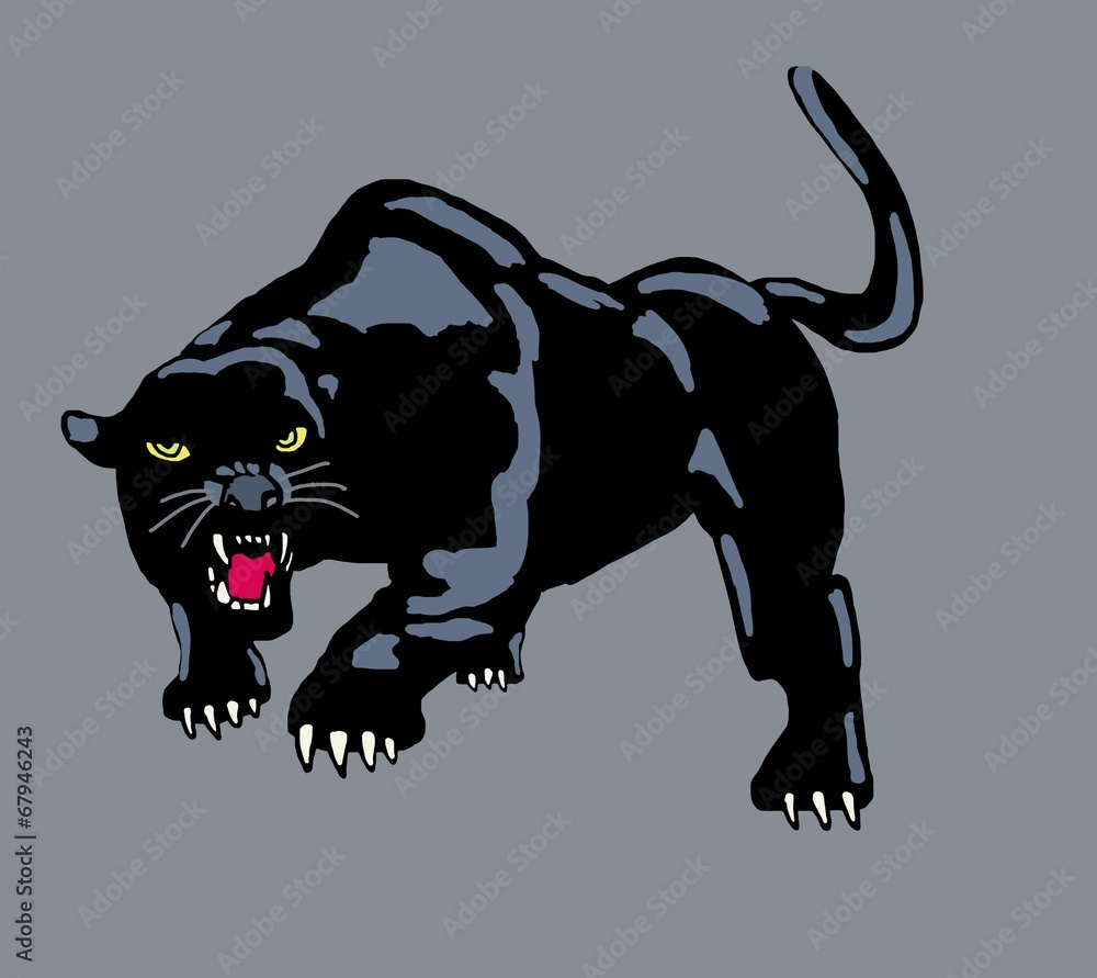 Fototapeta premium Panther