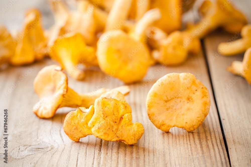 fresh chanterelle mushrooms on a wooden background fresh chanterelle mushrooms on a wooden background