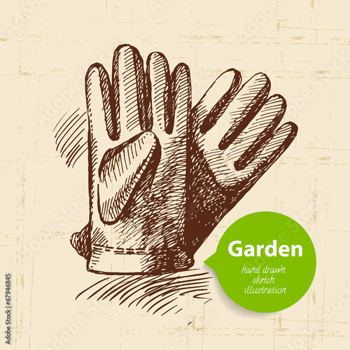 Vintage sketch garden background. Hand drawn design