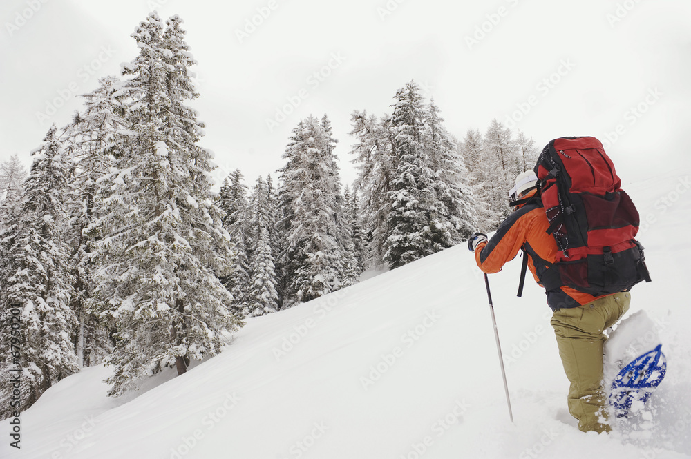 Italien,Südtirol,Mann Schneeschuhwandern,Rückansicht