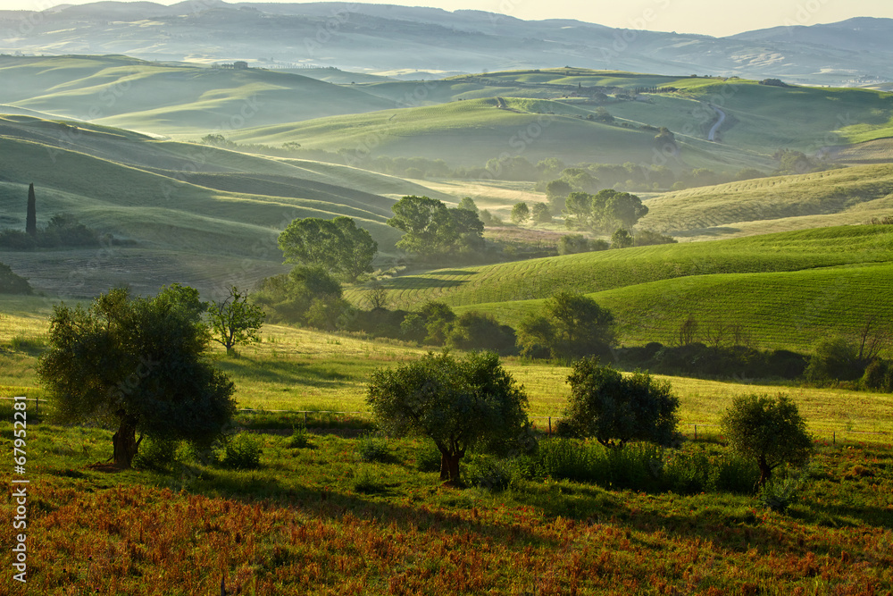 Countryside, San Quirico d`Orcia , Tuscany, Italy