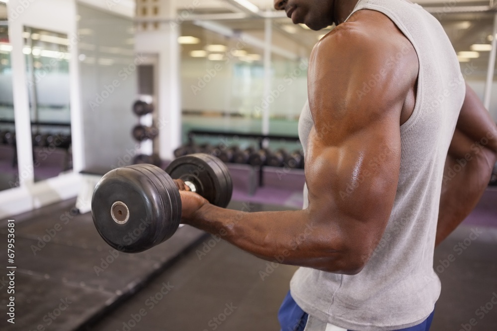 Muscular man exercising with dumbbell in gym Muscular man exercising with dumbbell in gym