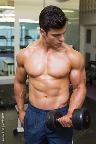 Shirtless muscular man exercising with dumbbells