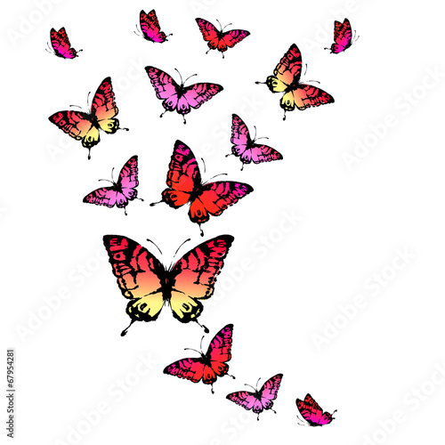 butterflies design