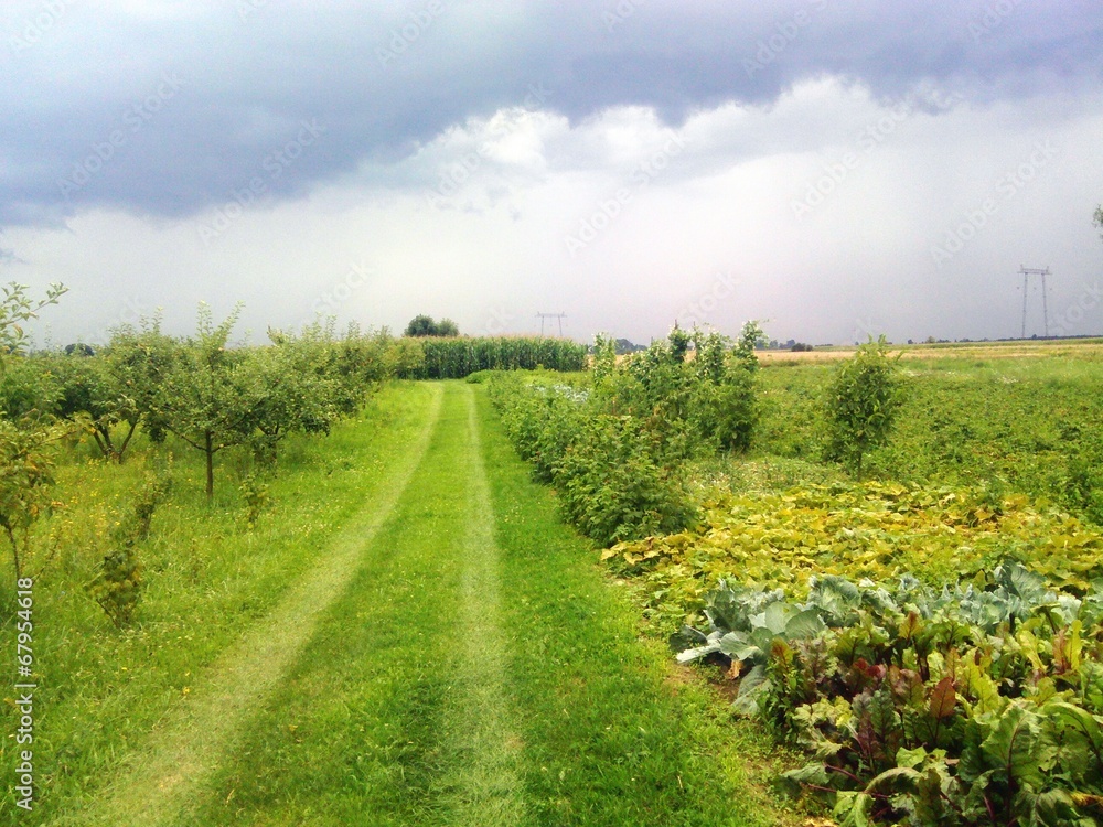 Obraz premium Krajobraz