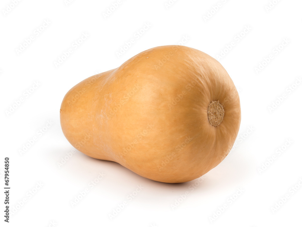 butternut squash isolated on white background