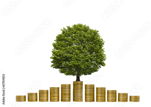 Baum auf Münzstapel