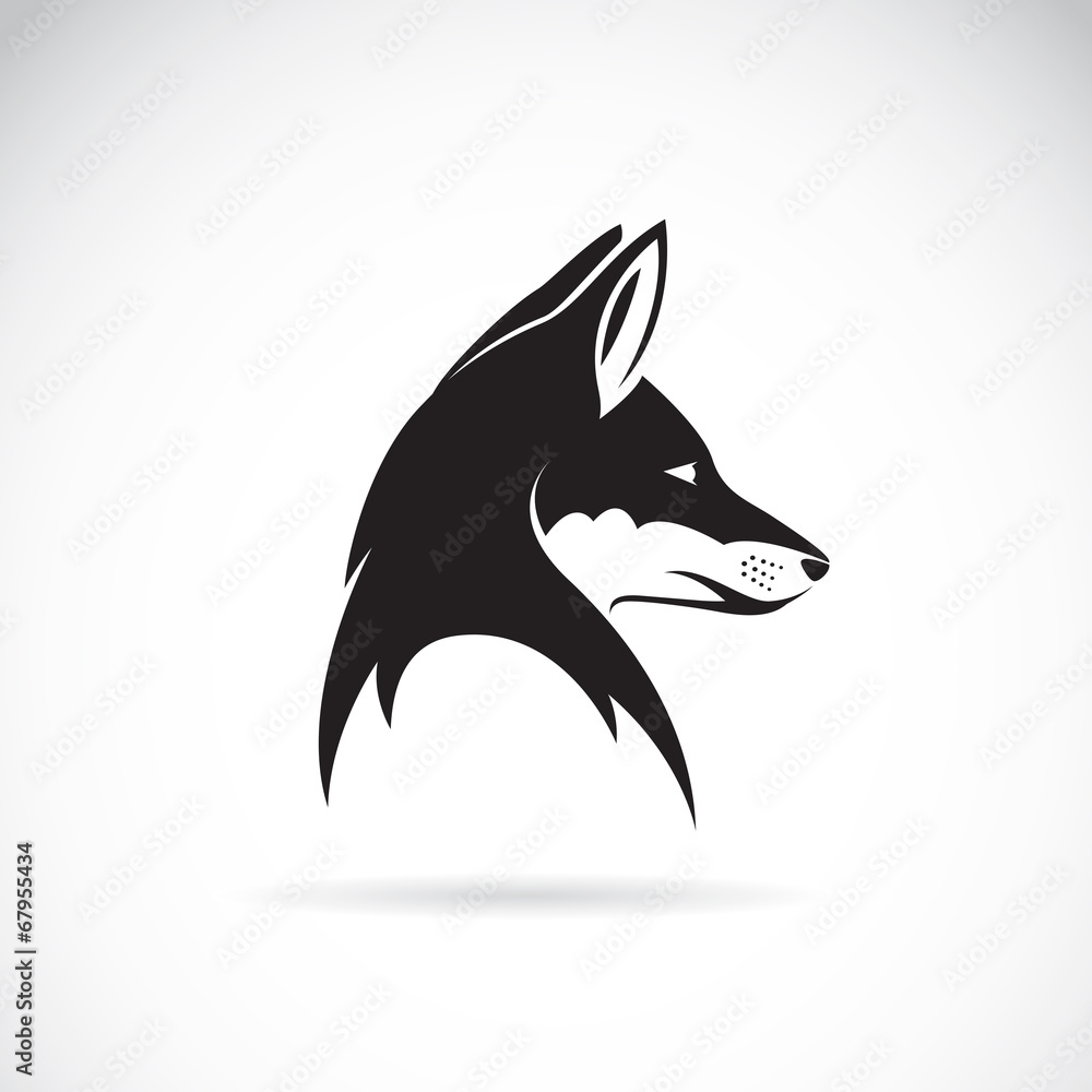Obraz premium Vector image of an fox head