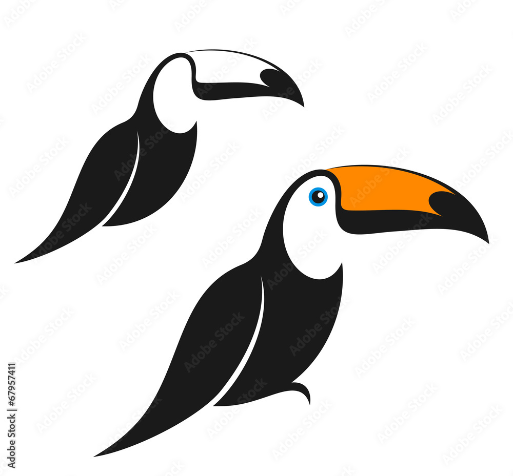 Naklejka premium Toucan