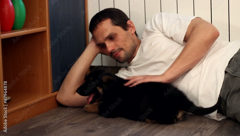 man stroking a puppy German Shepherd man stroking a puppy German Shepherd