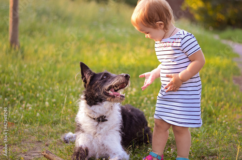 baby train a dog