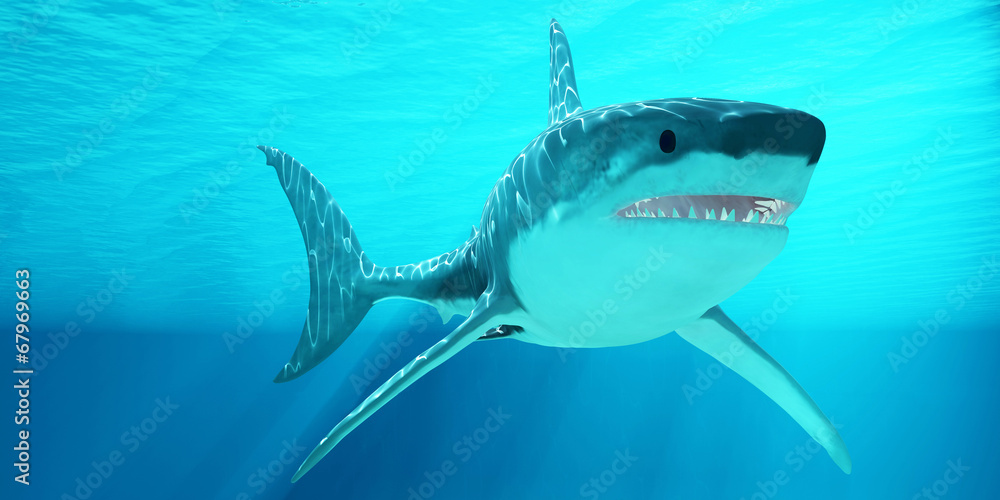 Naklejka premium Great White Shark with Sunrays