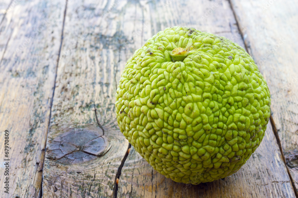 Monkey brain fruit Monkey brain fruit