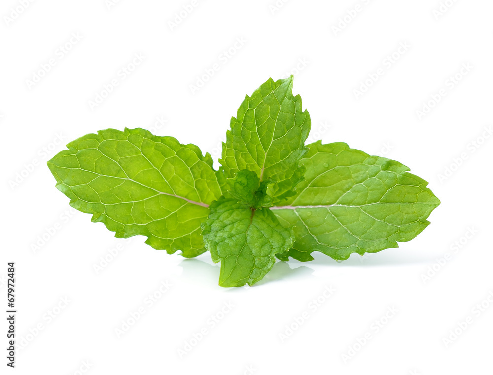mint leaves isolated on white background mint leaves isolated on white background