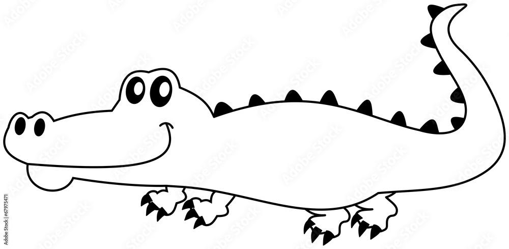 Fototapeta premium a crocodile in shadow