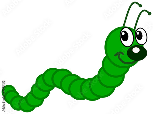 a green caterpillar