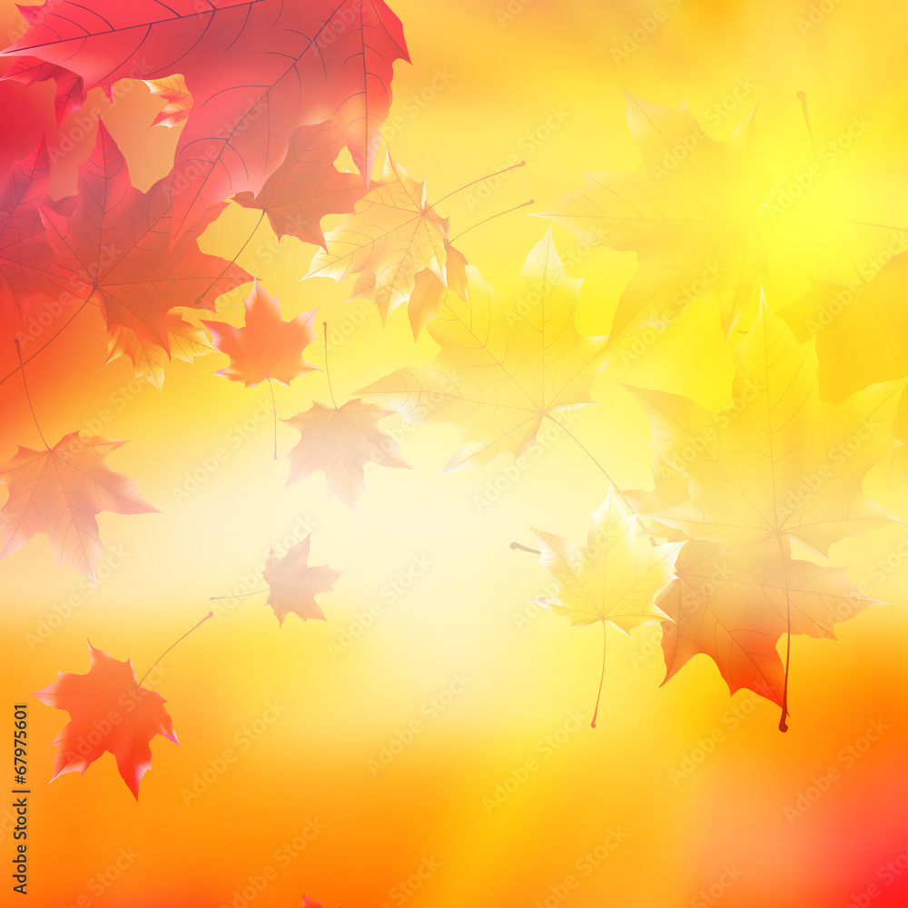 Delicate autumn sun with glare on gold sky. - obrazy, fototapety, plakaty 