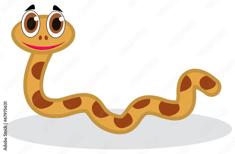 Fototapeta premium a brown snake