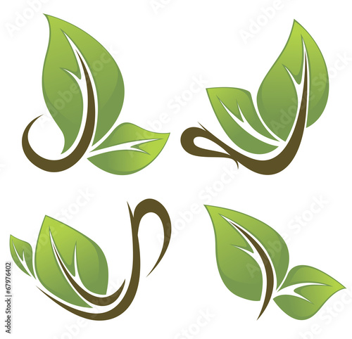 natural drinks and fresh green leaves