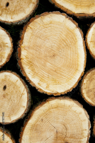 Stacked Logs  Natural Background