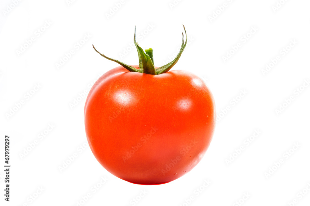 Tomato Tomato