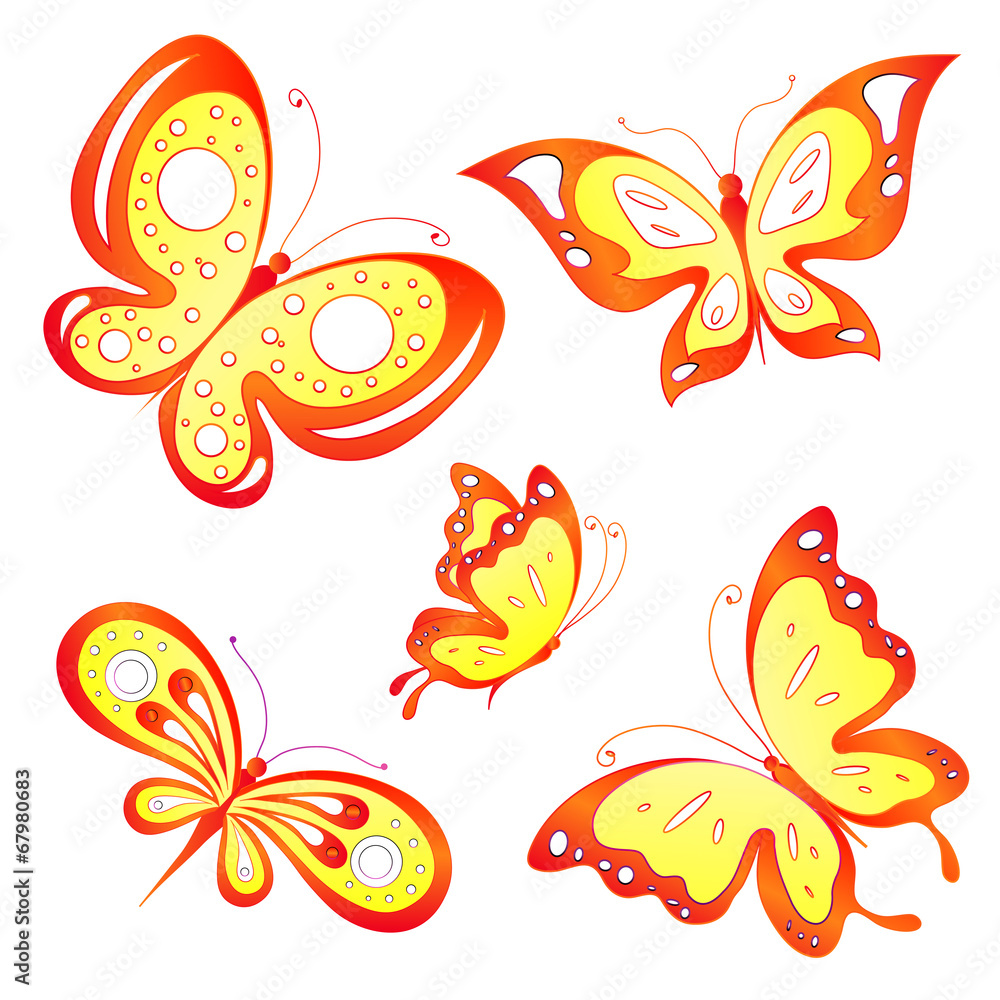 Obraz premium butterflies design