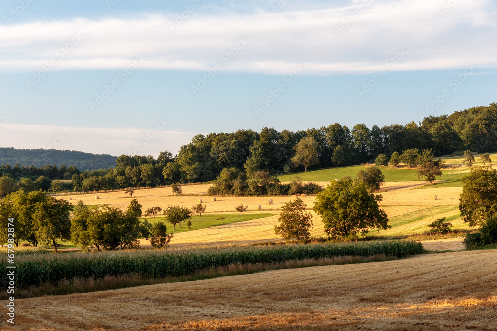 Countryside Summer Sunset Landscape