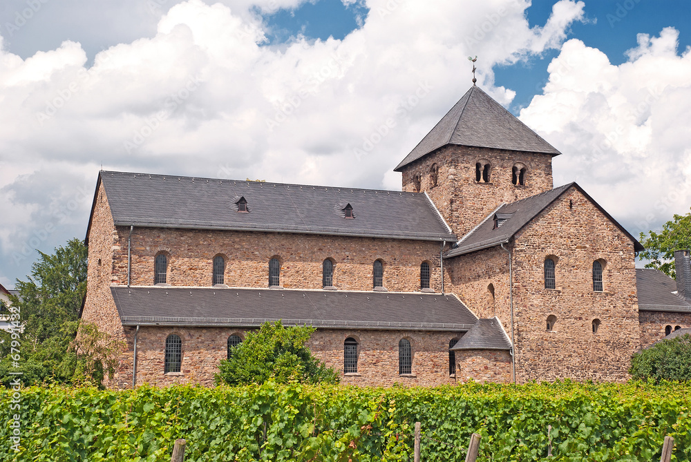 Die Ägidius-Basilika in Oestrich-Winkel am Rhein mit Reben