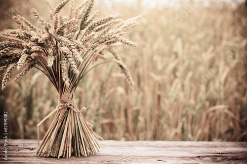 sheaf on wooden table on background field