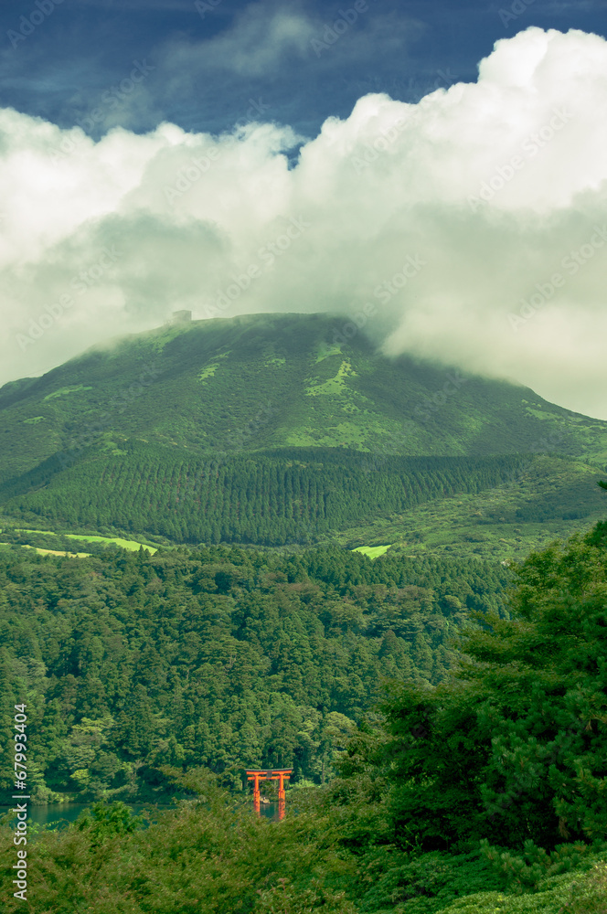 Fototapeta premium Montaña verde