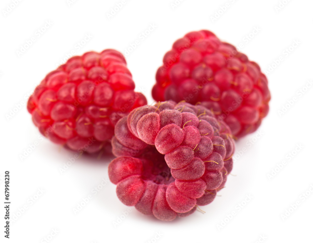 three raspberries three raspberries