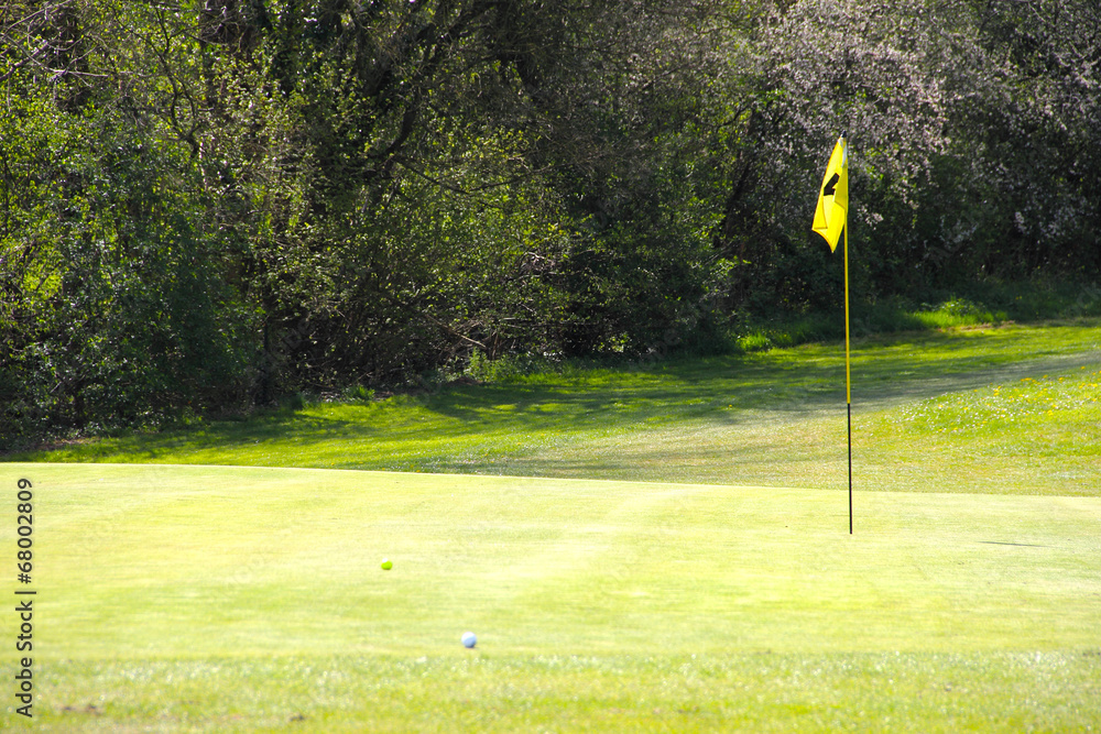 Obraz premium Flag on the golf field