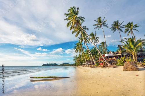 tropical beach under gloomy sky