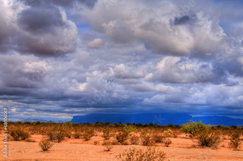 Sonora Desert