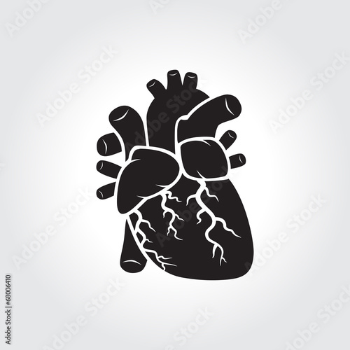 Human's heart icon
