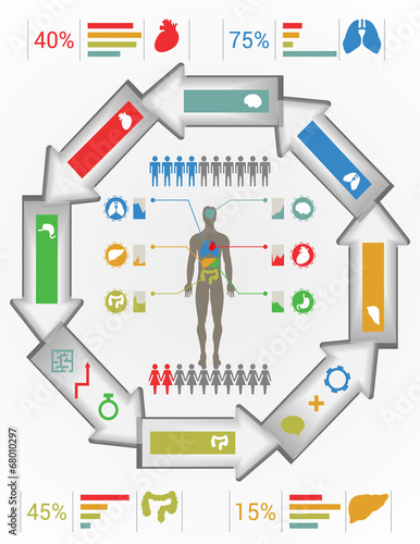 the silhouette of a man and organs arrow