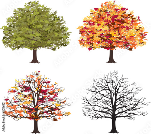 Different seasons of art tree. Vector