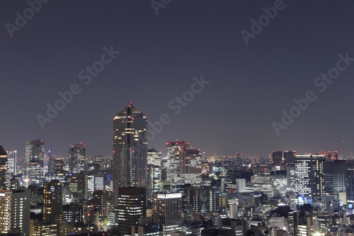 Tokyo cityscape at night © geargodz