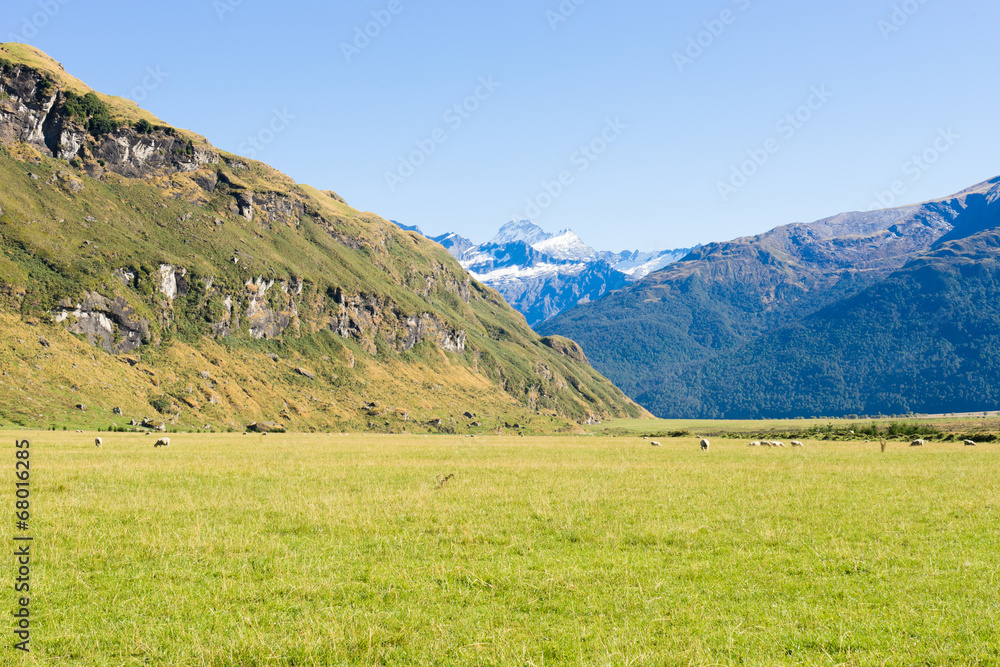 Fototapeta premium Picturesque landscape