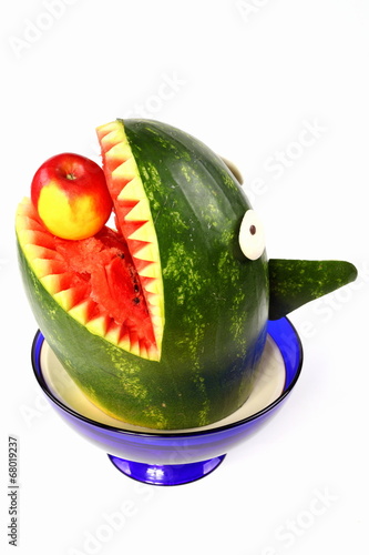 Wassermelonen-Hai © zaschnaus