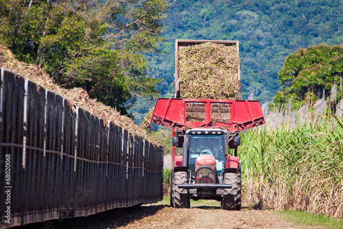 Tractor loading sugar cane onto train bin