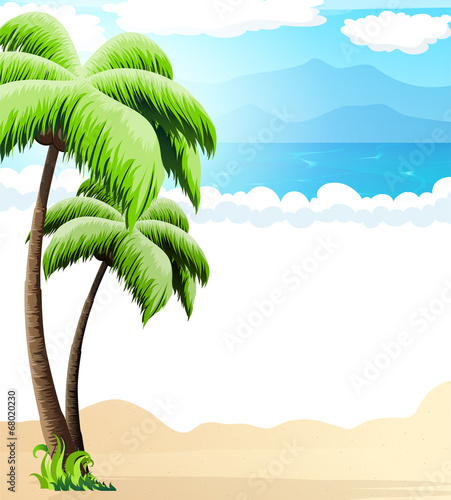 Beach with palm trees #68020230