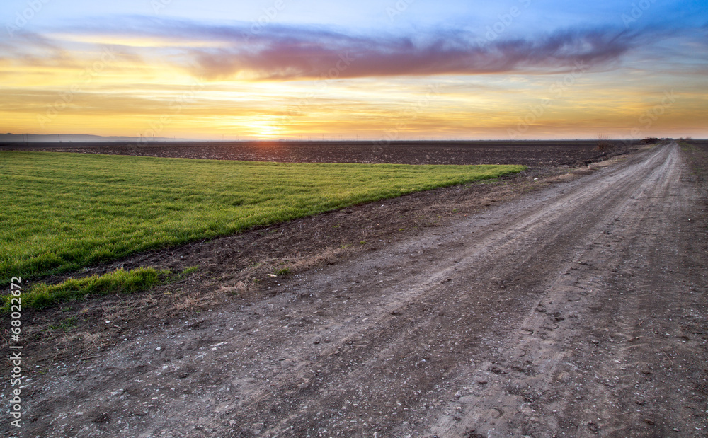 Rural road and green wheat field over sunset