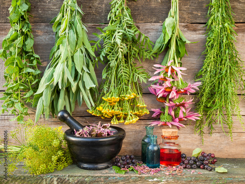 bunches of healing herbs on wooden wall, mortar with dried plant