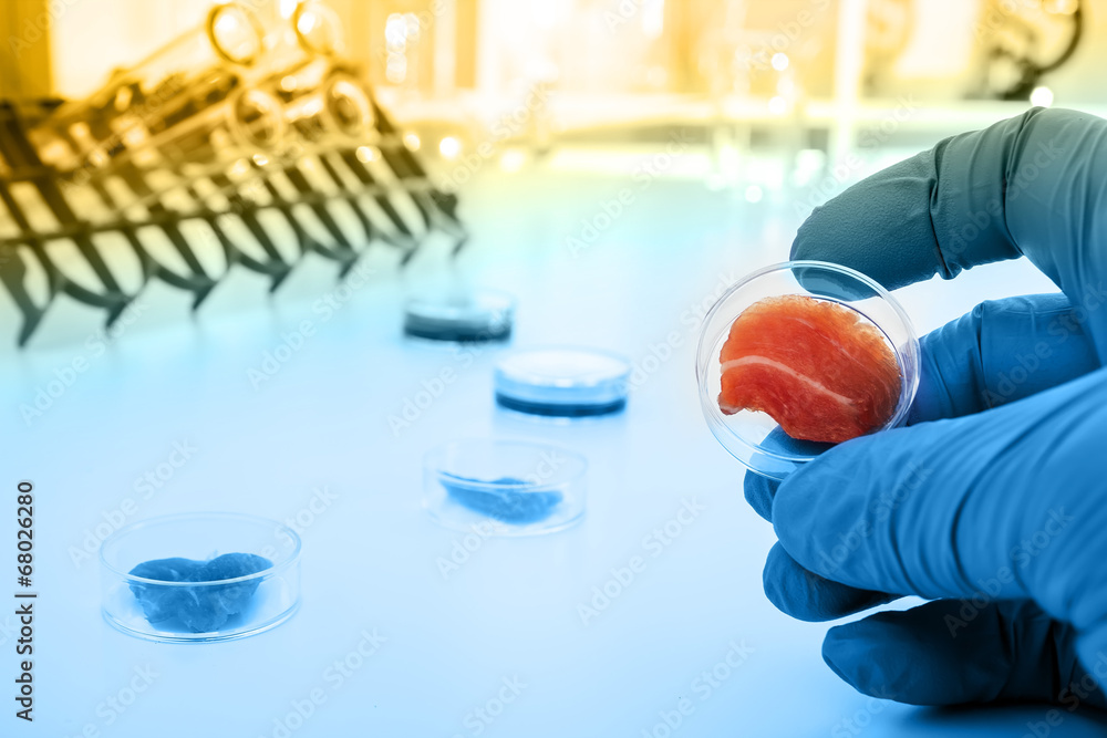 Meat cultured in laboratory conditions from stem cells Meat cultured in laboratory conditions from stem cells