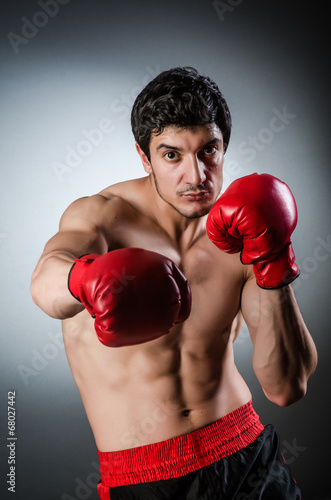Muscular boxer wiith red gloves © Elnur