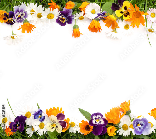 Frame of flowers