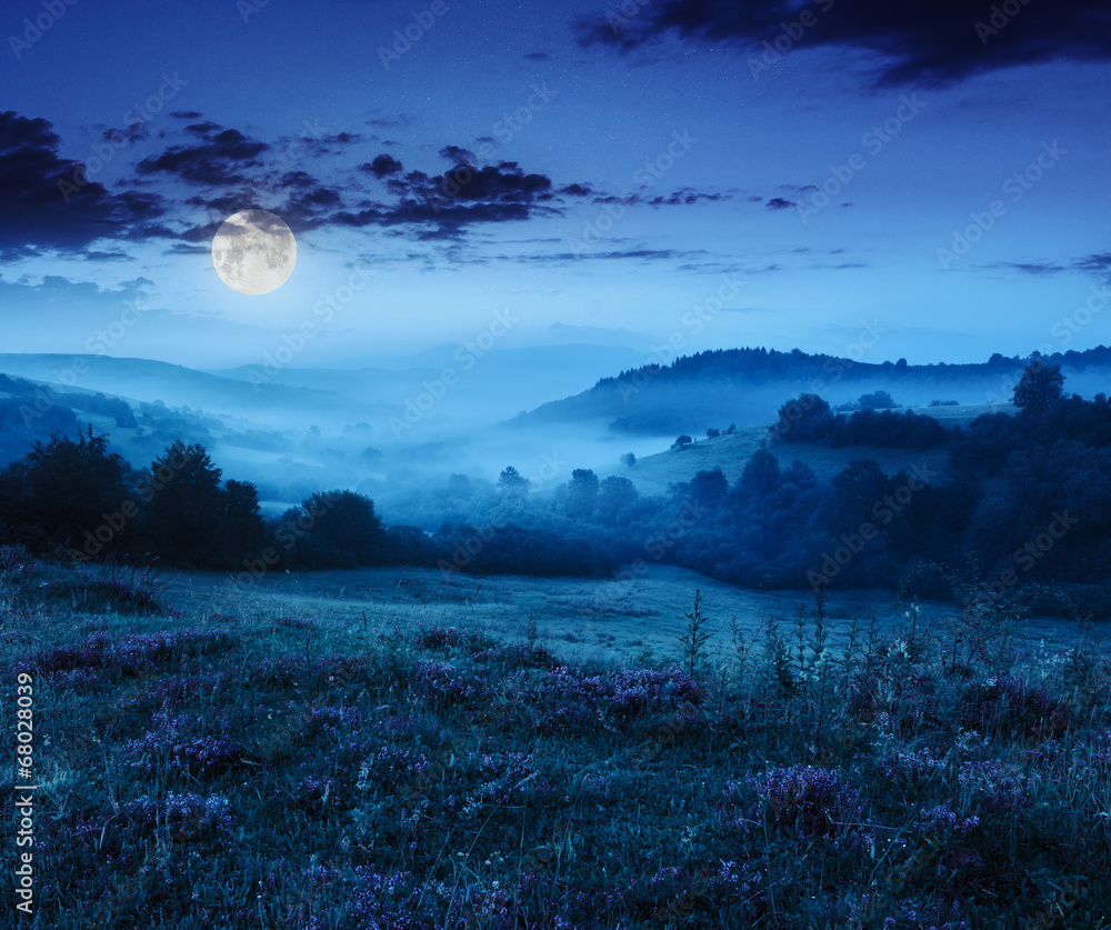cold fog in mountains on forest at night cold fog in mountains on forest at night